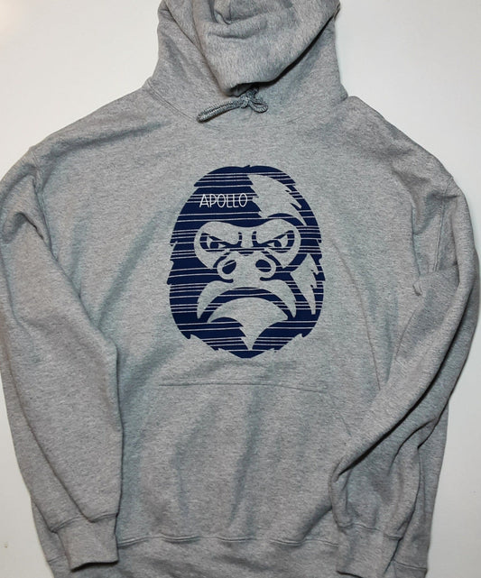 Apollo - Gray & Blue (evolve) Hoodie